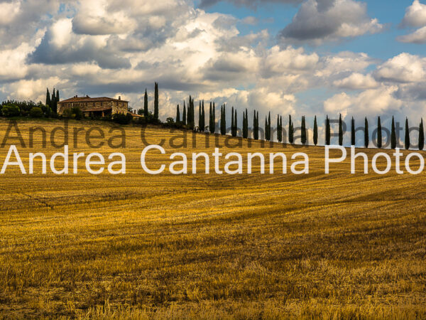 Casale toscano Stampa su tela di cotone